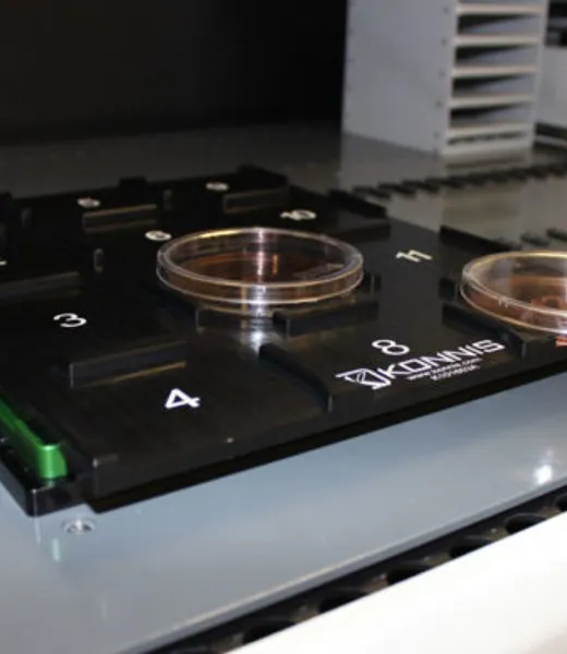 Petri Dish Adapter by Konnis