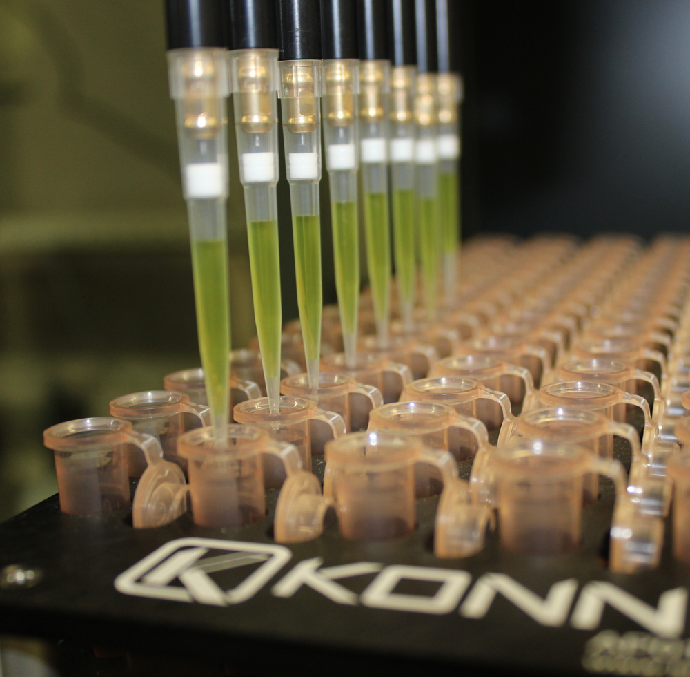 lab consumables
